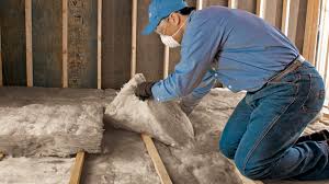 Eco-Friendly or Green Insulation Solutions in Vado, NM